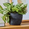 (4 pack)4.5" Textured Matte Ceramic Pot, Black, 1 - Piece